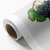 Romanticism Art: Grape Spanna Botanical Illustration