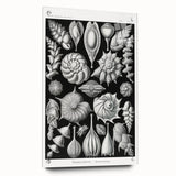 Scientific Nature Wall Art - Intricate Marine Microorganism Illustration