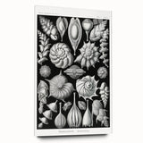Scientific Nature Wall Art - Intricate Marine Microorganism Illustration