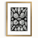 Scientific Nature Wall Art - Intricate Marine Microorganism Illustration
