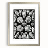 Scientific Nature Wall Art - Intricate Marine Microorganism Illustration