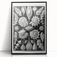 Scientific Nature Wall Art - Intricate Marine Microorganism Illustration