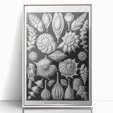 Scientific Nature Wall Art - Intricate Marine Microorganism Illustration