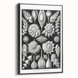 Scientific Nature Wall Art - Intricate Marine Microorganism Illustration