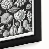 Scientific Nature Wall Art - Intricate Marine Microorganism Illustration
