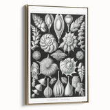 Scientific Nature Wall Art - Intricate Marine Microorganism Illustration