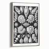 Scientific Nature Wall Art - Intricate Marine Microorganism Illustration
