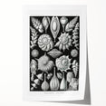 Scientific Nature Wall Art - Intricate Marine Microorganism Illustration