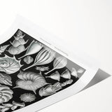 Scientific Nature Wall Art - Intricate Marine Microorganism Illustration