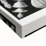 Scientific Nature Wall Art - Intricate Marine Microorganism Illustration