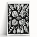 Scientific Nature Wall Art - Intricate Marine Microorganism Illustration