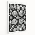 Scientific Nature Wall Art - Intricate Marine Microorganism Illustration