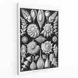 Scientific Nature Wall Art - Intricate Marine Microorganism Illustration