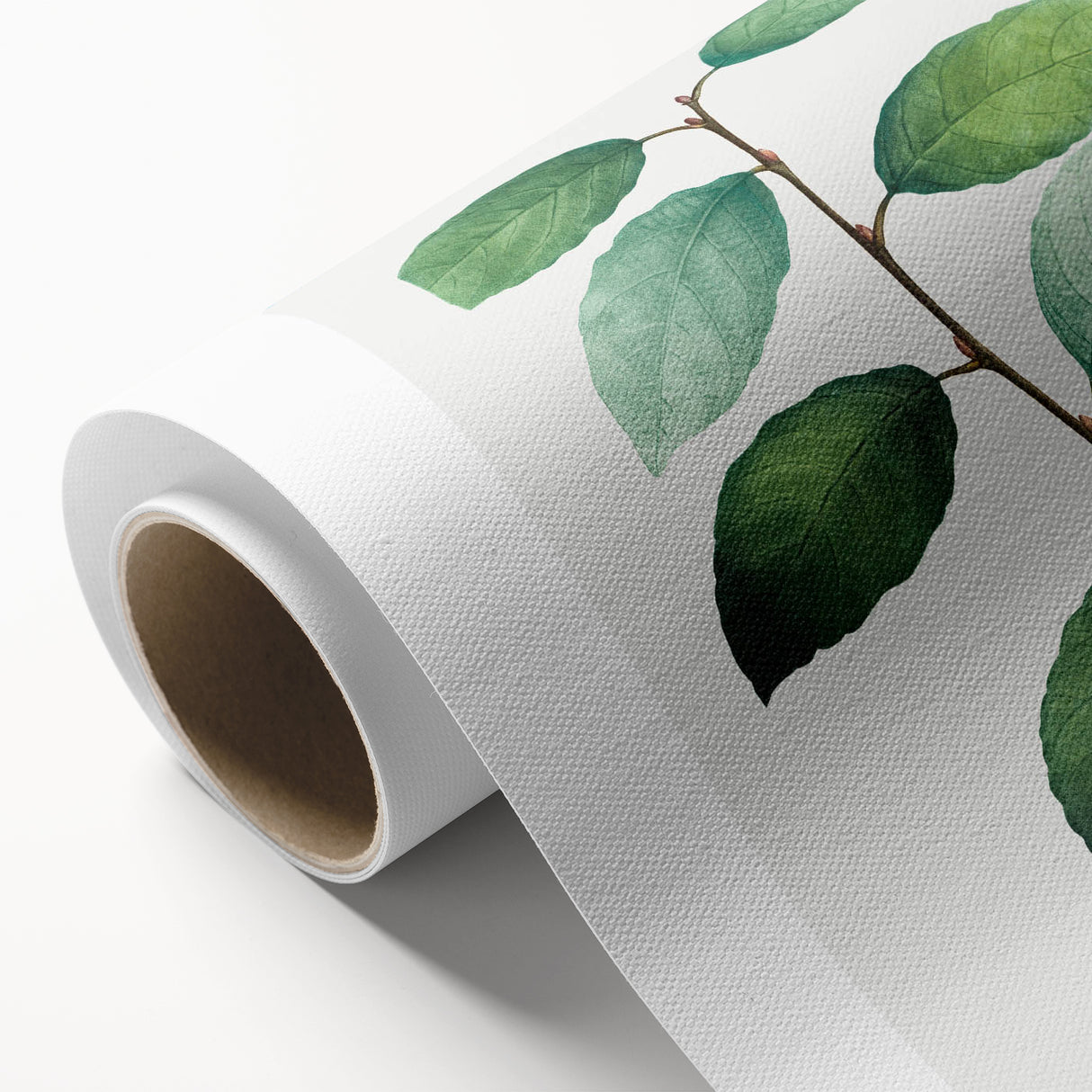 Neoclassical Art Print: Eared Willow by Redouté - Botanical Wall Art