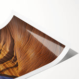 Desert landscape rolled print showcasing vibrant orange and yellow hues, featuring a serene sunset over sand dunes, elegantly packaged in a protective tube.