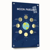 Moon Phases Learning Wall Art - Kids Educational Space Poster