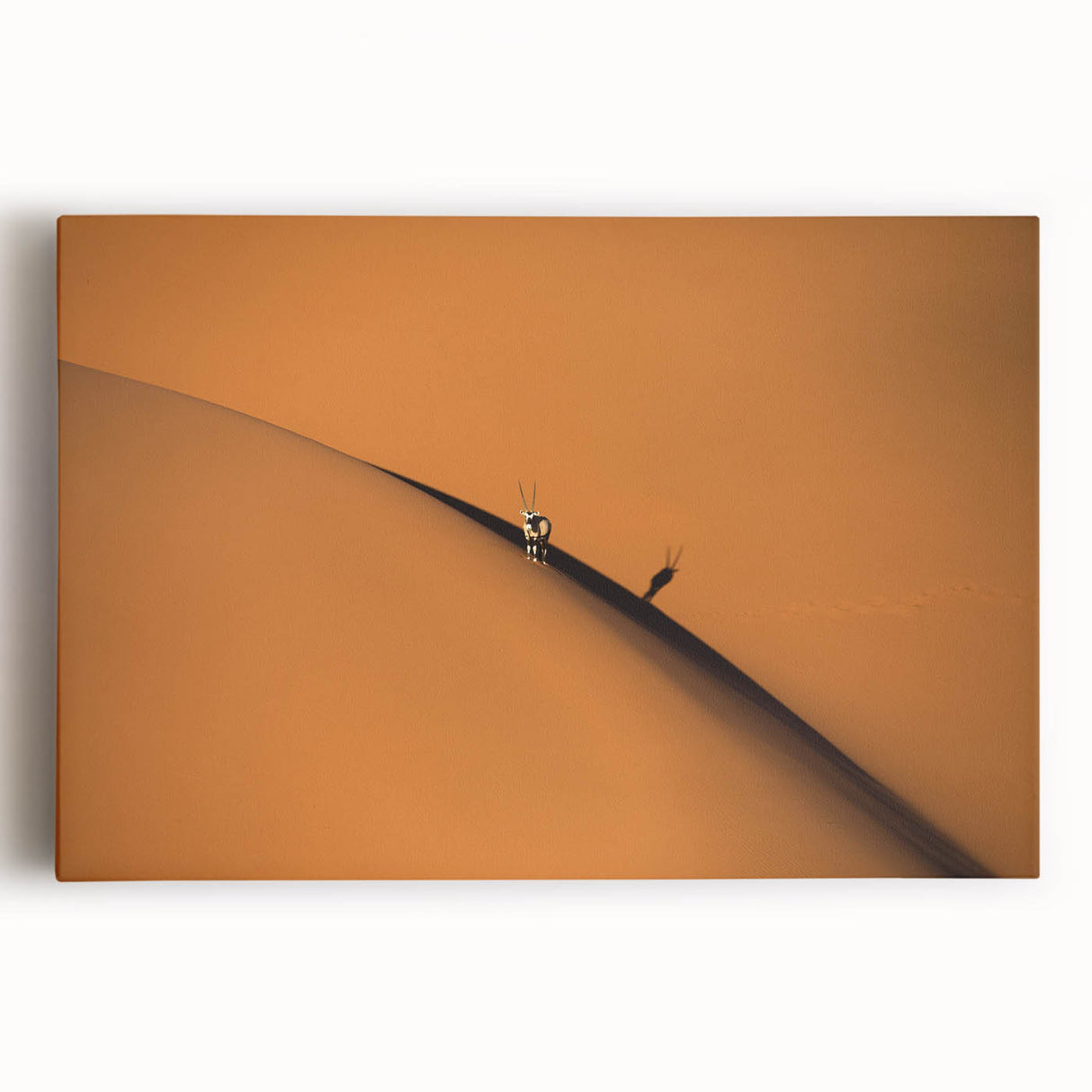 Black and white photograph of Namibian landscape on large stretched canvas, suitable for kitchen art.
