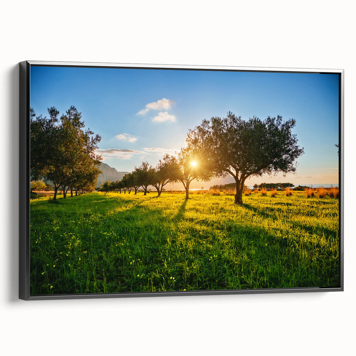 Black and white framed canvas of a vintage Sicilian landscape, ideal for bedroom wall decor.