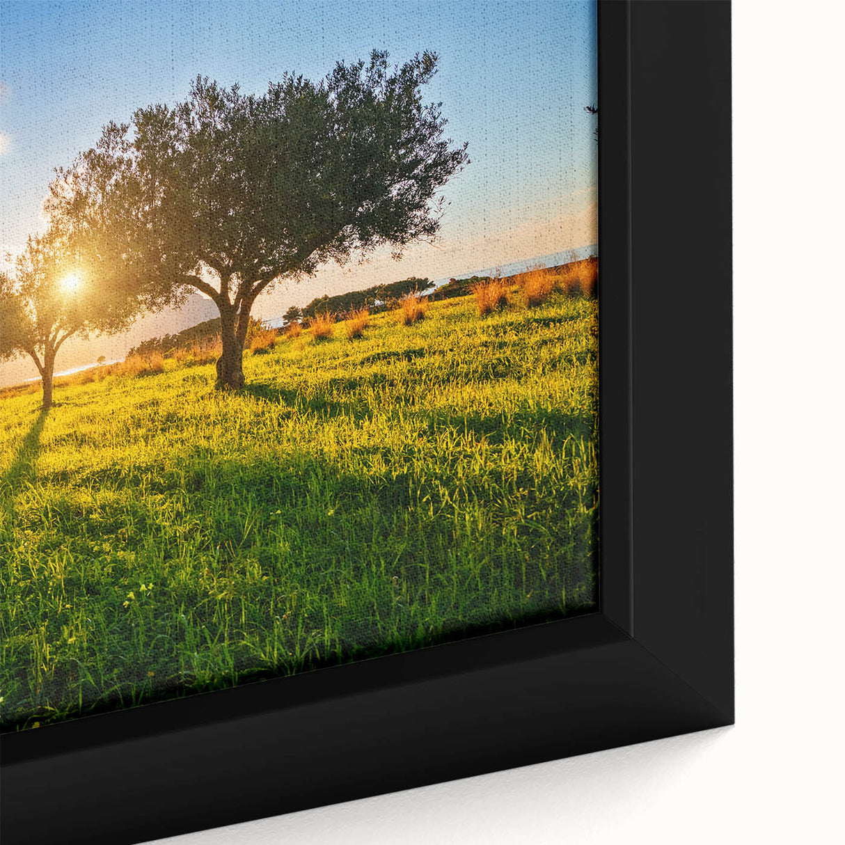 Extra large framed canvas featuring a textured depiction of a Sicilian landscape in black with colorful highlights.