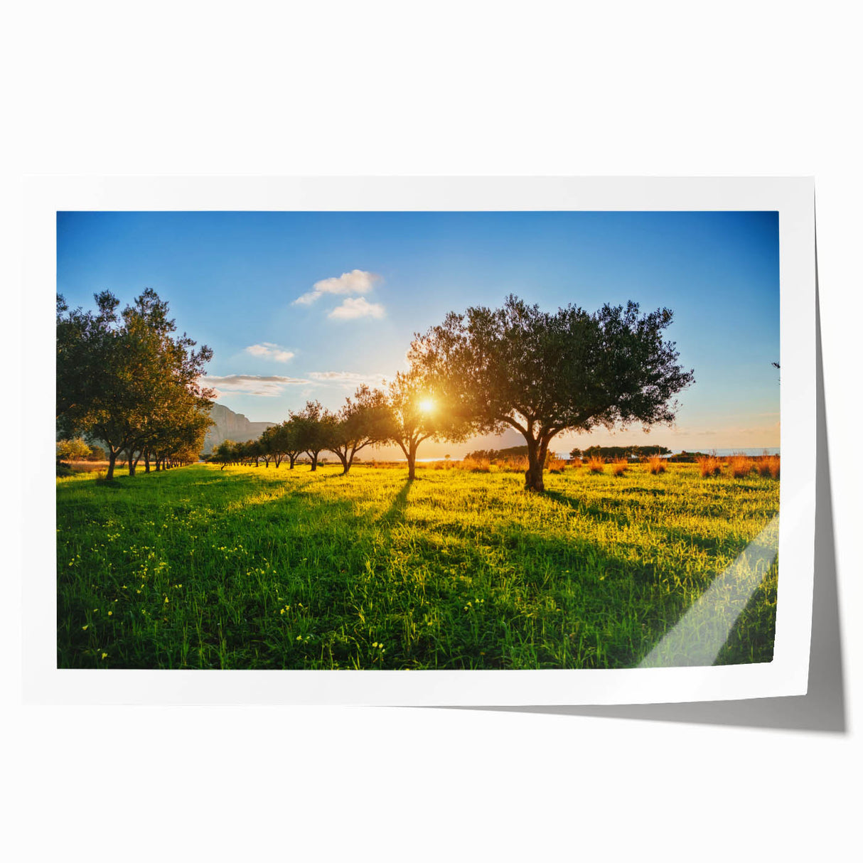 Rolled print of Sicilian landscape with vibrant floral foreground and muted background, ideal for dining room wall art.