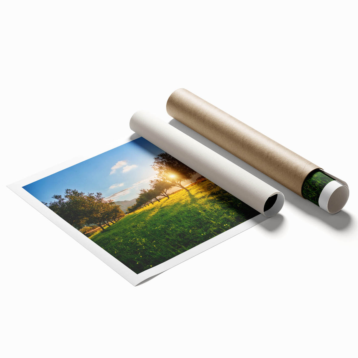 Extra large rolled print of Sicilian landscape with vibrant floral elements.