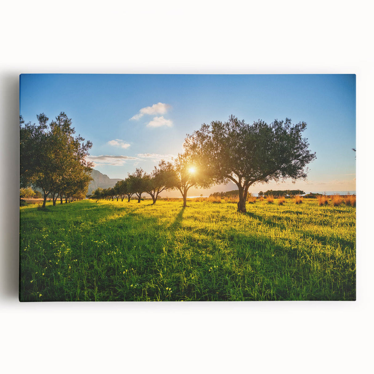 Black and white stretched canvas featuring a Sicilian landscape, ideal for kitchen wall art or bedroom ambiance.