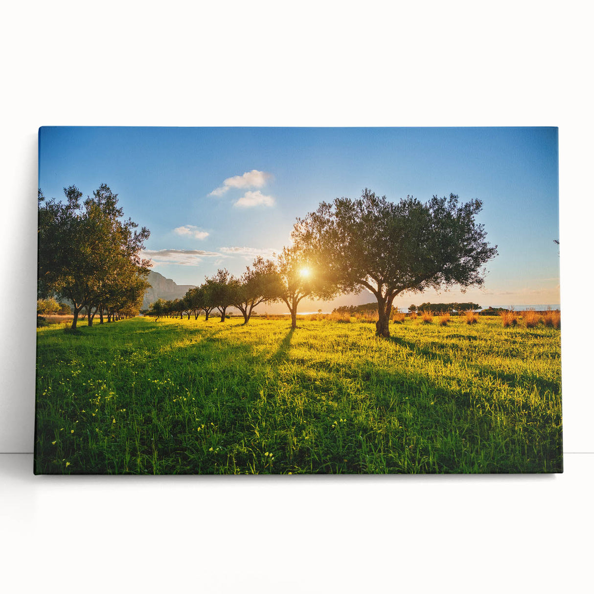 Large black and white print of Sicilian scenery on stretched canvas, suitable for kitchen wall art.