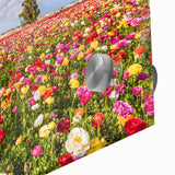 Large abstract wall art of a Middle-Eastern scenery in muted earth tones on acrylic glass, ideal for dining room ambiance.