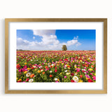 Extra large, framed abstract art print depicting a textured Middle Eastern scenery in gold and earth tones.