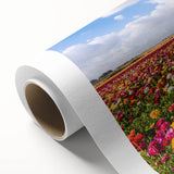 Art Deco poster featuring a serene Middle Eastern landscape on rolled canvas.