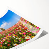 Extra large rolled print featuring line art flowers in subtle hues, ideal for large living room wall decor.