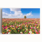 Black and white stretched canvas featuring a panoramic view of a Middle Eastern cityscape, ideal for kitchen wall art.