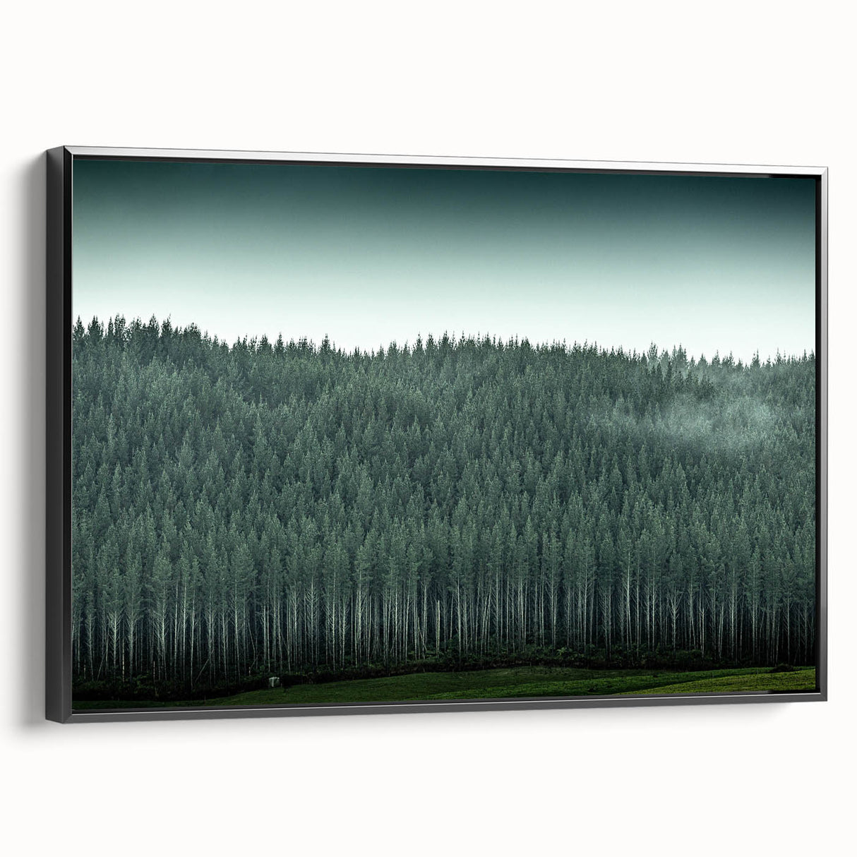 Black and white landscape art painting of Auckland, framed canvas, ideal for bedroom wall decor.