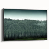 Black and white landscape art painting of Auckland, framed canvas, ideal for bedroom wall decor.