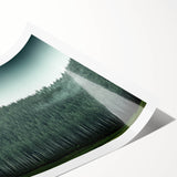 Extra large wall art featuring line art flowers on a rolled print, with muted earth tones.