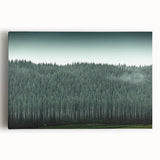 Black and white photo of Auckland skyline on large stretched canvas, suitable as kitchen wall art.