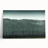 Black and white photograph of Auckland skyline on stretched canvas, ideal for kitchen wall art or bedroom ambiance.