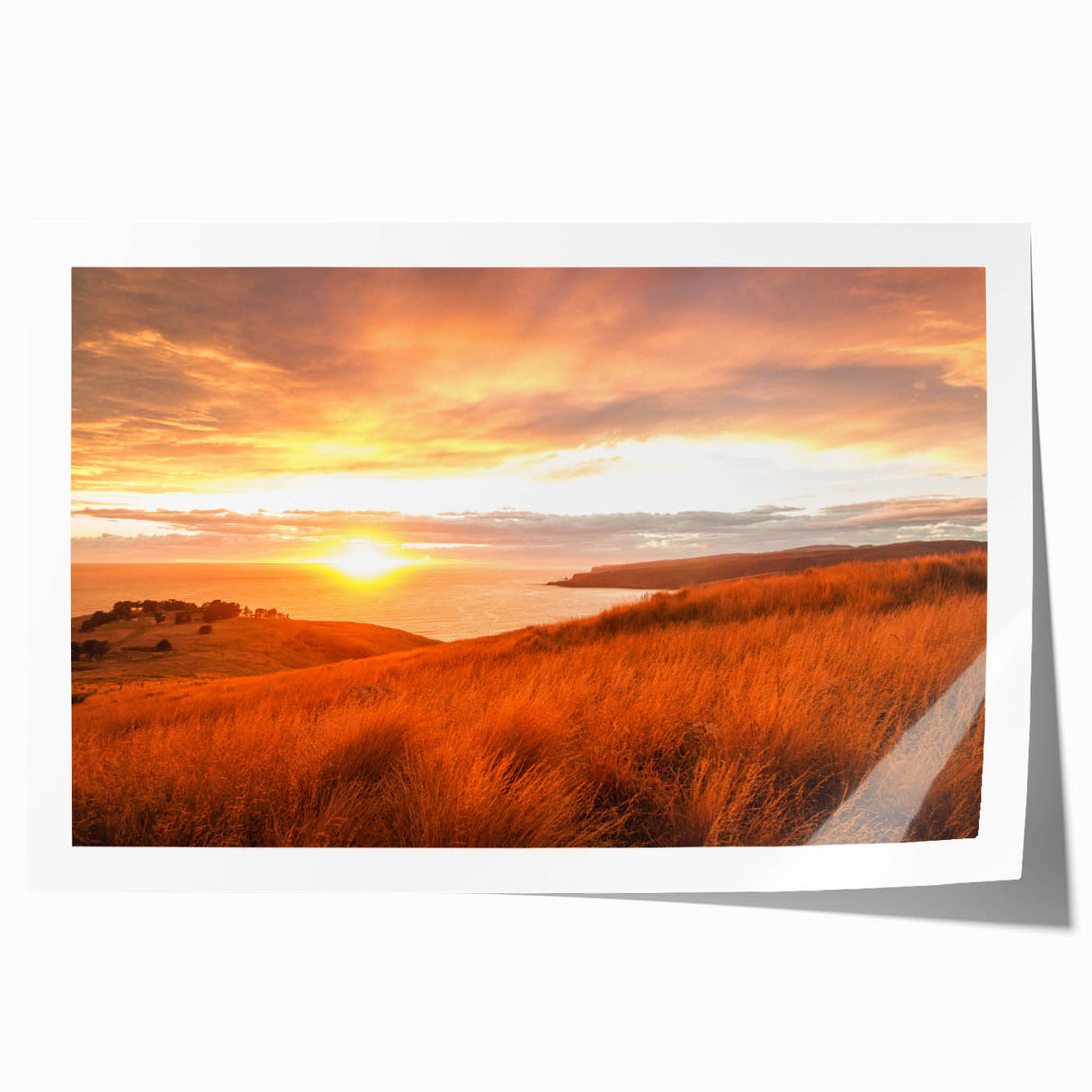 Extra large rolled print of a Canterbury, New Zealand scenery with pastel floral designs, ideal for art wall dining room.