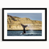 Extra large abstract art print of a colorful, textured Argentine scenery in a black frame with mat.