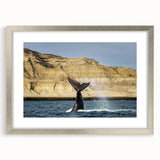 Textured abstract art print depicting a muted landscape of Argentina, framed in silver, suitable for bedroom decor.