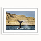 Abstract art print of an Argentinian landscape in muted earth tones on a framed white mat, ideal for dining room decor.