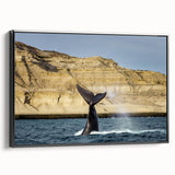 Black and white framed canvas of an Argentine landscape, ideal for bedroom wall art.