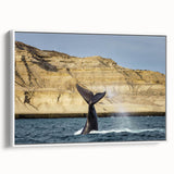 Vintage poster art of an Argentinian landscape on a framed canvas, featuring vibrant colors, ideal for living room decor.