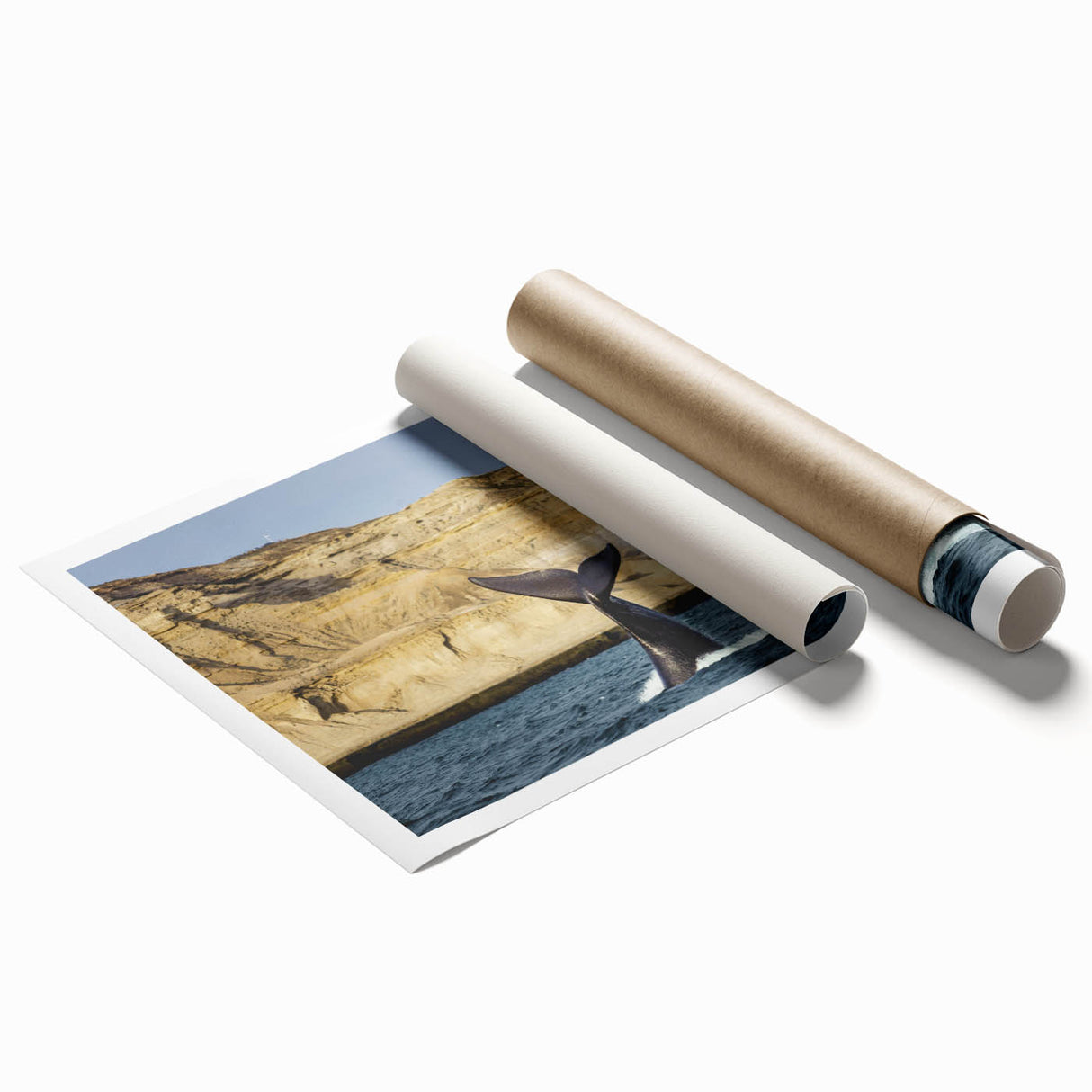 Extra large rolled print of an Argentinian landscape with vibrant floral elements.