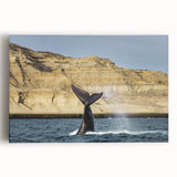 Large black and white stretched canvas of an Argentine landscape, ideal for kitchen wall art.