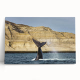 Black and white stretched canvas featuring a panoramic view of an Argentinian landscape, ideal for kitchen wall art.