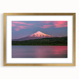 Abstract art print depicting textured scenery of South America in muted earth tones, framed in gold.