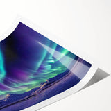 Extra large wall art depicting line art flowers in black on a white background, rolled canvas format.