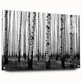 Acrylic print of a Colorado Aspen landscape in autumn hues, ideal for dining room decor.