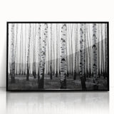 Large abstract wall art featuring a vibrant Aspen, Colorado landscape in mid-century modernist style on black framed acrylic.